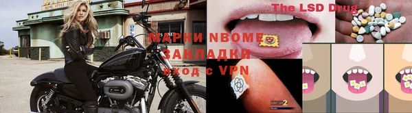 ПСИЛОЦИБИНОВЫЕ ГРИБЫ Магадан