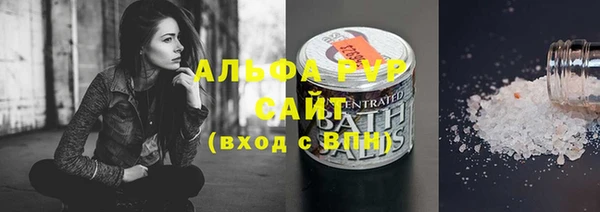 индика Новочеркасск