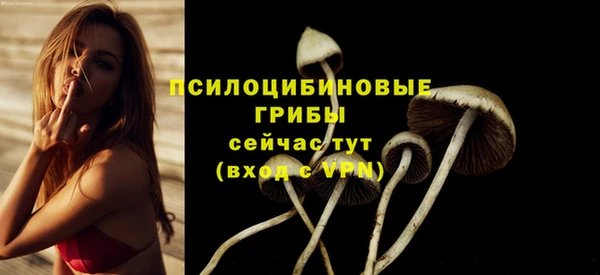 индика Новочеркасск