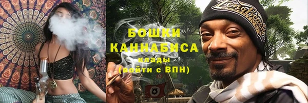 дживик Магас