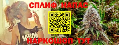 мдпв Гатчина