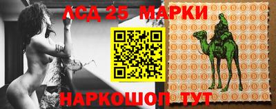 мдпв Гатчина