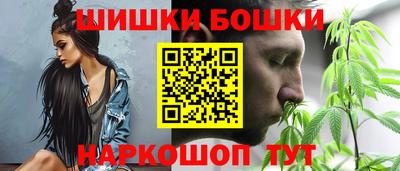 мдпв Гатчина