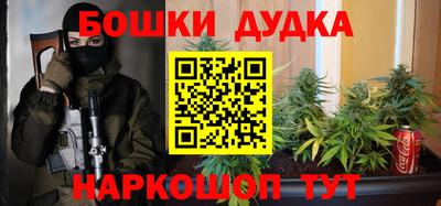 мдпв Гатчина