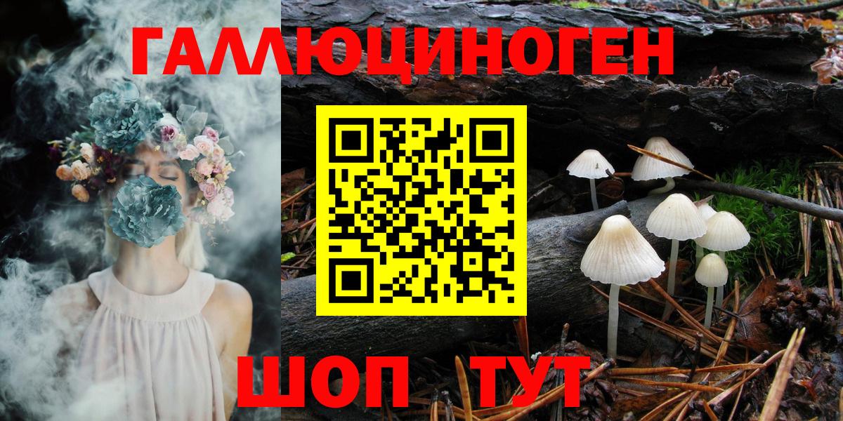 Псилоцибиновые грибы MAGIC MUSHROOMS  Черкесск 