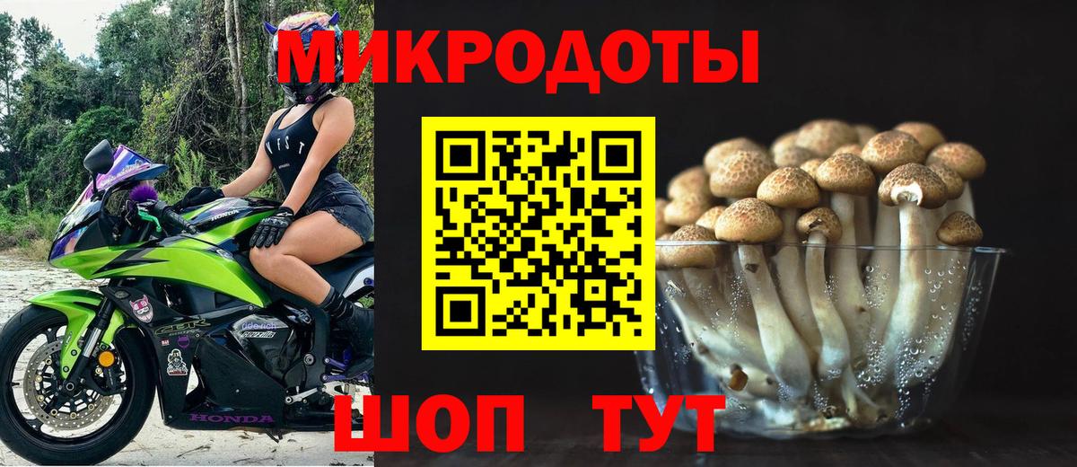 Псилоцибиновые грибы MAGIC MUSHROOMS Черкесск