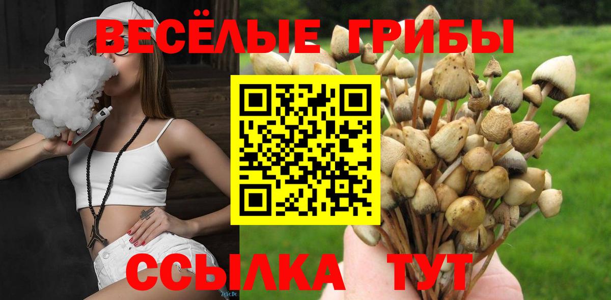 Псилоцибиновые грибы Cubensis  Вход с VPN  Черкесск 