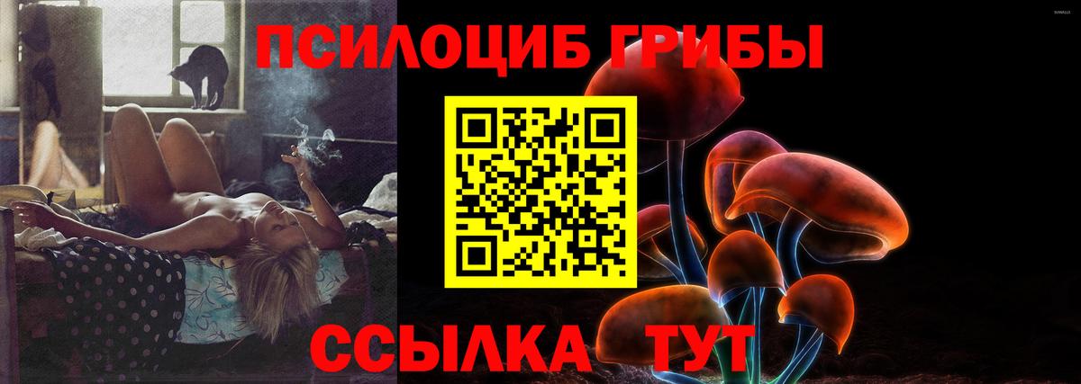 Бошки Шишки Черкесск